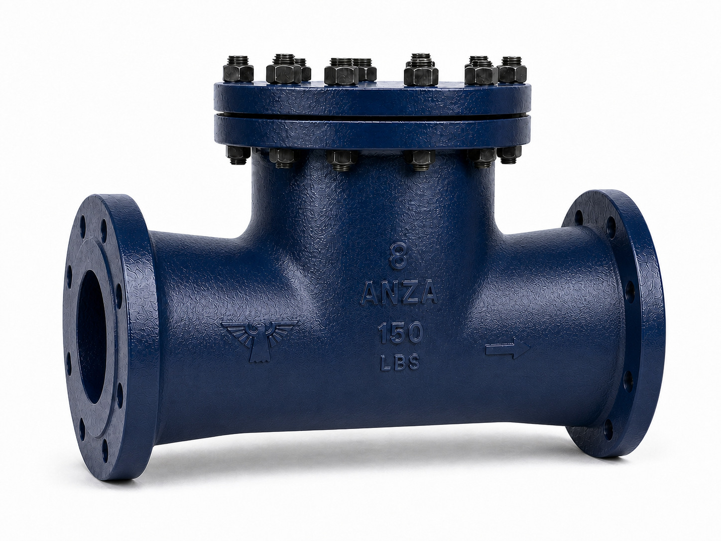 Representación de filtro industrial tipo T bridado de 8 pulgadas Clase 150 marca ANZA